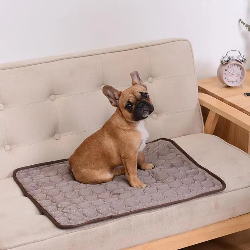 Cooling Dog Mat – Breathable Summer Pet Pad for Cats & Dogs