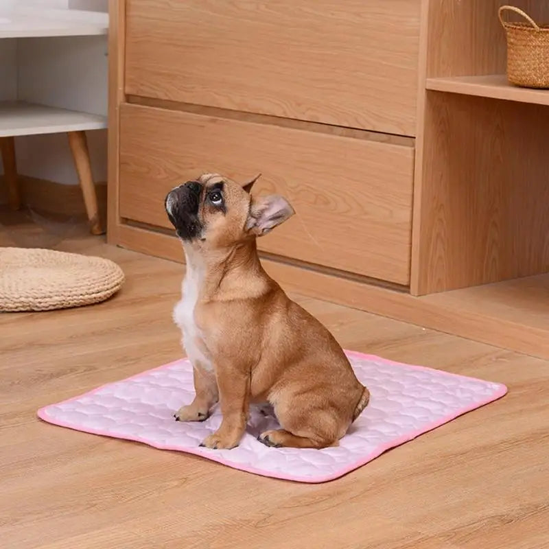 Cooling Dog Mat – Breathable Summer Pet Pad for Cats & Dogs