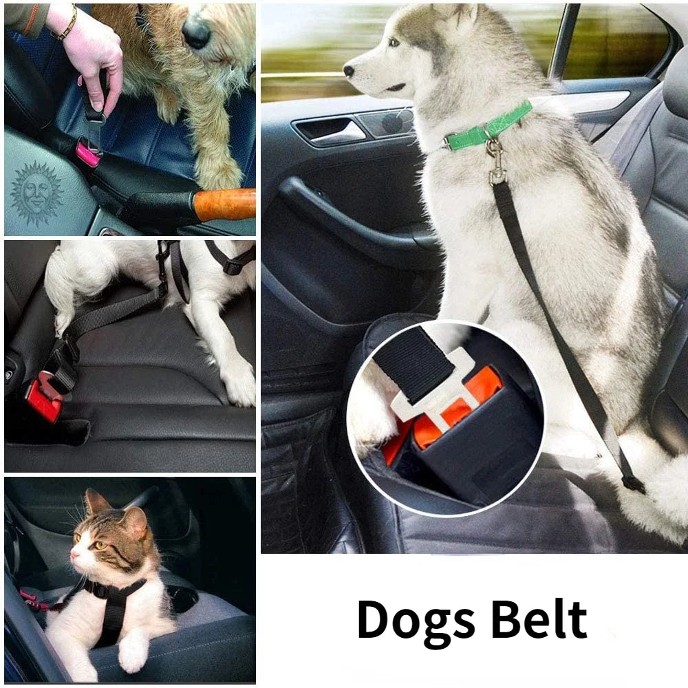 Adjustable Pet Car Seat Belt – Dog & Cat Safety Harness Lead