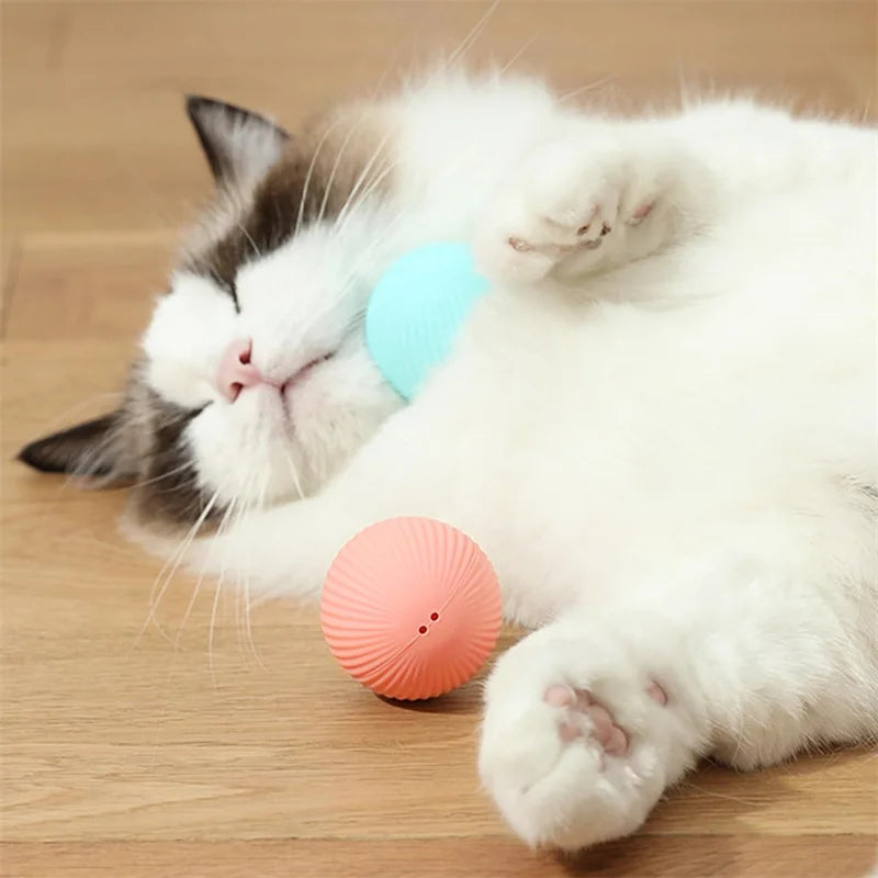 Smart Electronic Dog & Cat Toy Ball – USB Rechargeable Interactive Toy