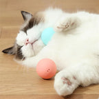 Smart Electronic Dog & Cat Toy Ball – USB Rechargeable Interactive Toy