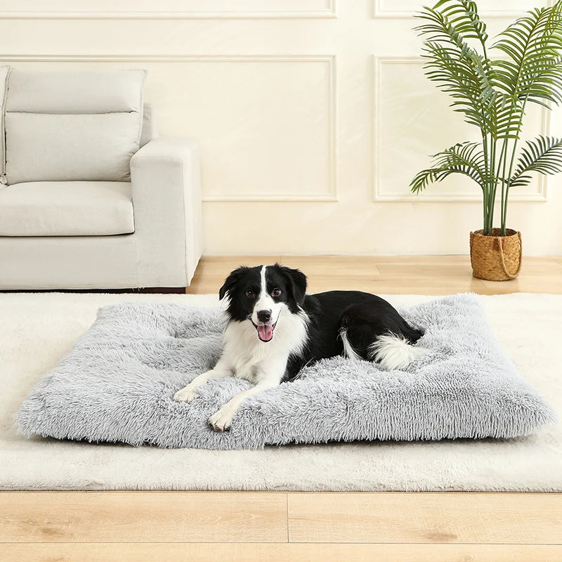 Soft Plush Dog & Cat Bed – Cozy Pet Cushion & Sleeping Sofa