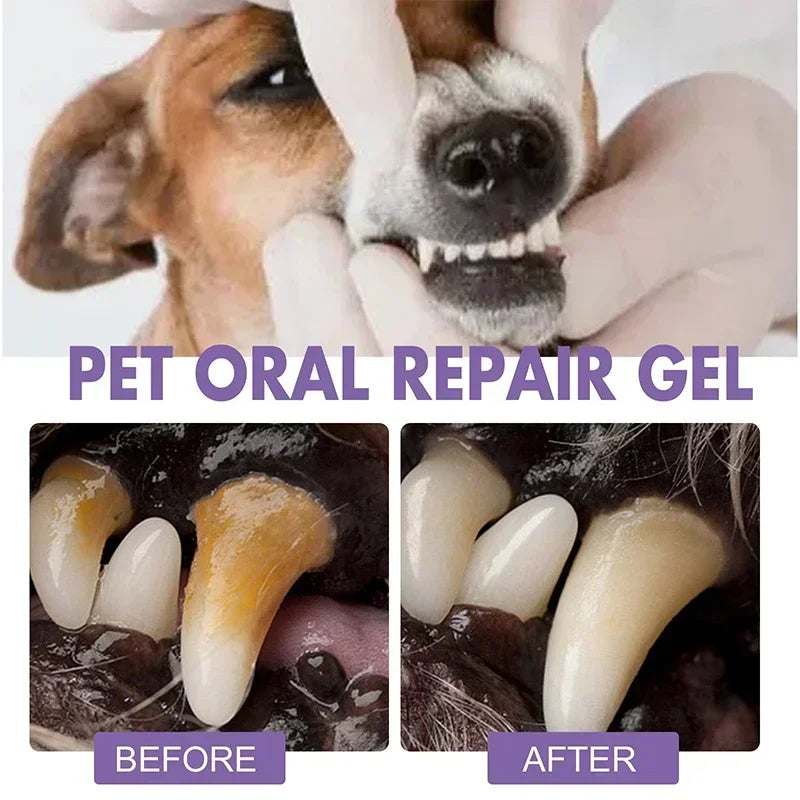 Pet Teeth Cleaning Pen – Dog & Cat Dental Tartar Remover