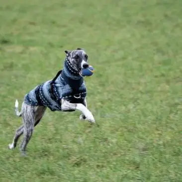 Fleece Dog Turtleneck Vest - Bohemian Style for Greyhounds & Thin-Coated Breeds