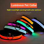 LED Dog Collar – Luminous Nylon Night Safety Collar for Pets