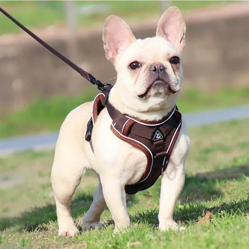 No-Pull Dog & Cat Harness Set – Adjustable Reflective Vest with Leash
