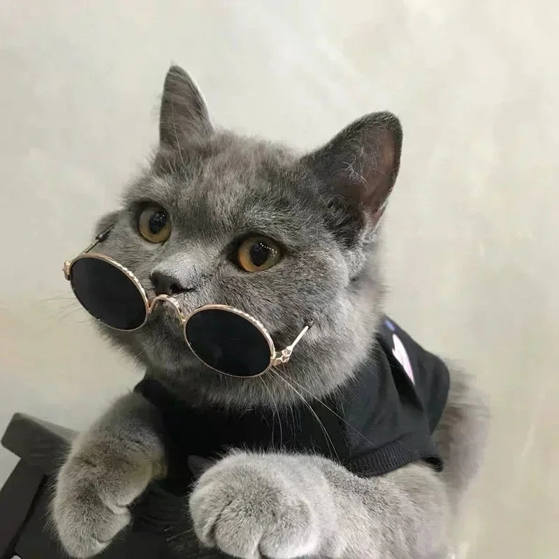Cute Pet Sunglasses – UV Protection Glasses for Cats & Small Dogs