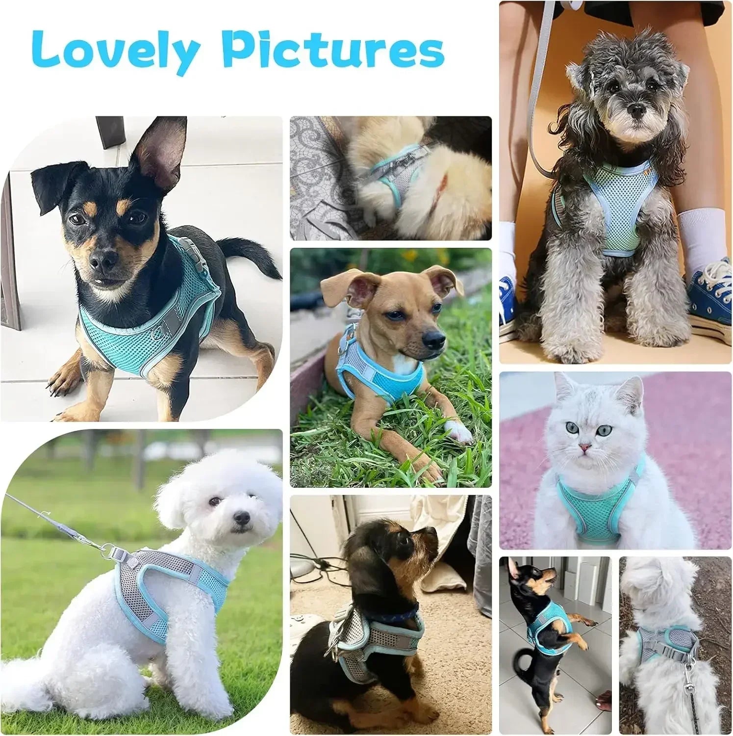 Adjustable Dog & Cat Harness Set – Small Dog Walking Vest with Leash