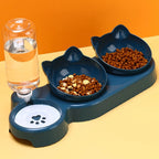3-in-1 Pet Bowl Set – Tilted Cat & Dog Food Bowl with Water Feeder