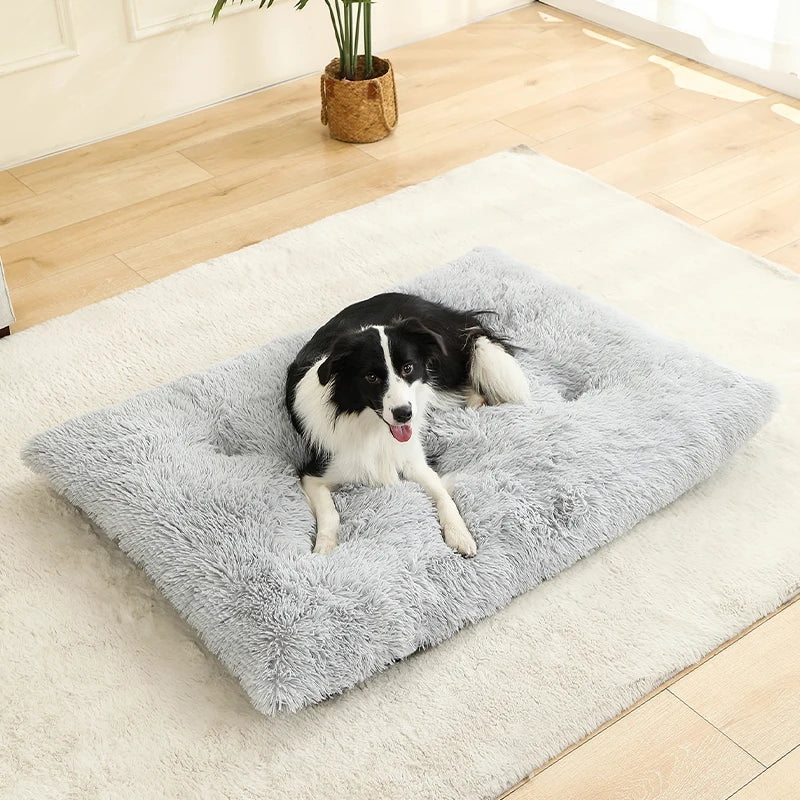 Soft Plush Dog & Cat Bed – Cozy Pet Cushion & Sleeping Sofa