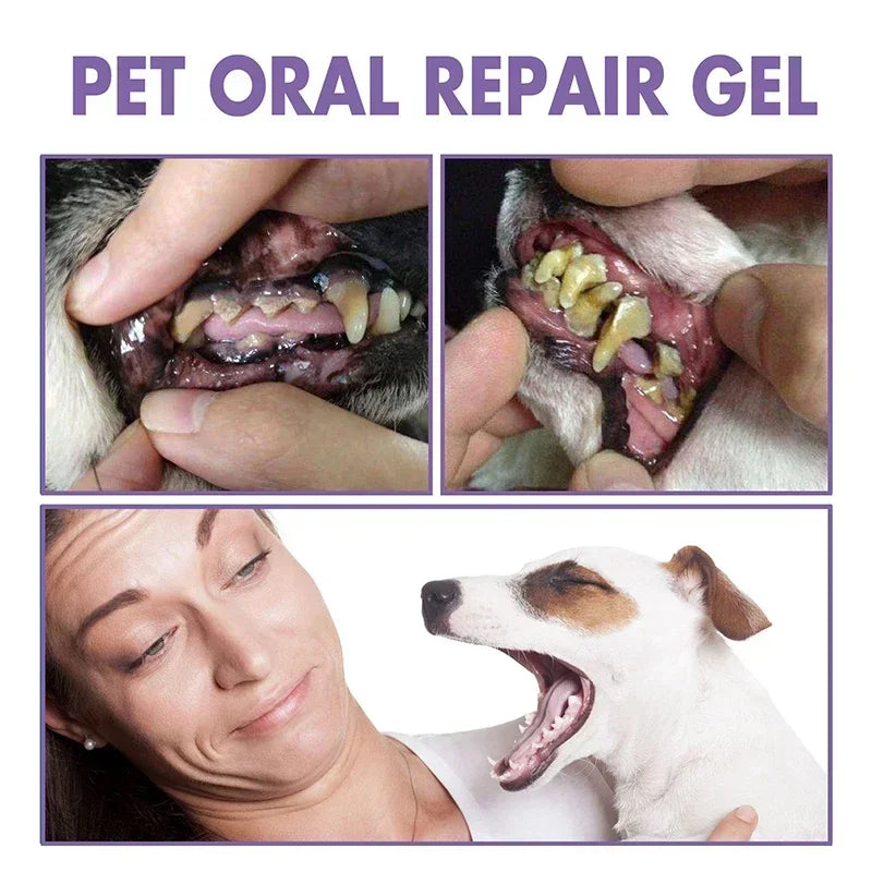 Pet Teeth Cleaning Pen – Dog & Cat Dental Tartar Remover