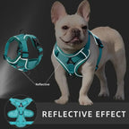 No-Pull Dog & Cat Harness Set – Adjustable Reflective Vest with Leash
