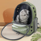 Transparent Cat Carrier Backpack – Breathable Travel Bag for Pets