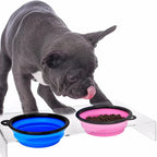 Collapsible Silicone Pet Bowl - 2-in-1 Food & Water Container with Carabiner