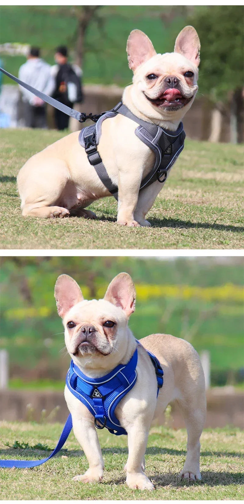 No-Pull Dog & Cat Harness Set – Adjustable Reflective Vest with Leash