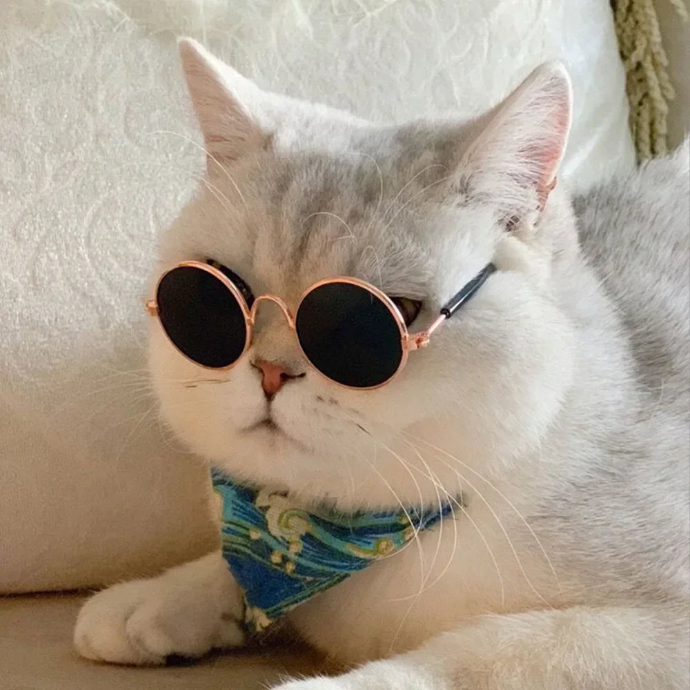 Cute Pet Sunglasses – UV Protection Glasses for Cats & Small Dogs