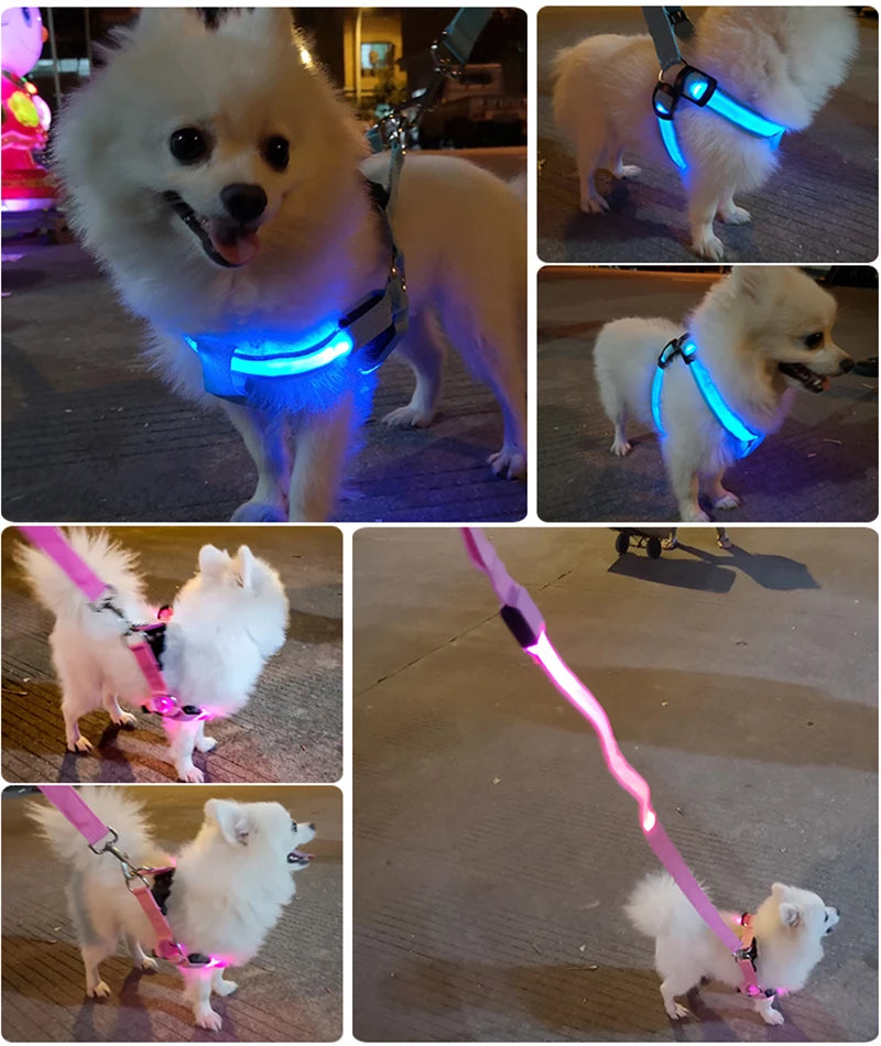 LED Glow Dog Harness - Reflective No-Pull Harness with 3 Light Modes