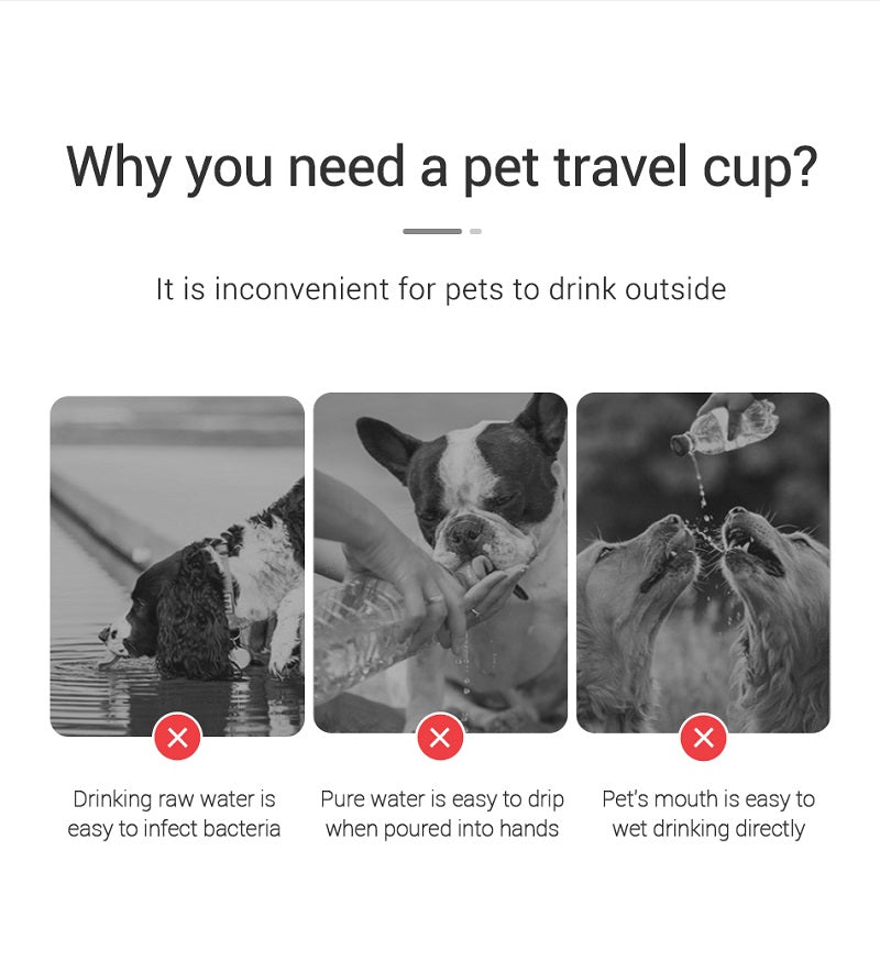 Portable Dog Water Bottle – Outdoor Leakproof Pet Drinking Bowl