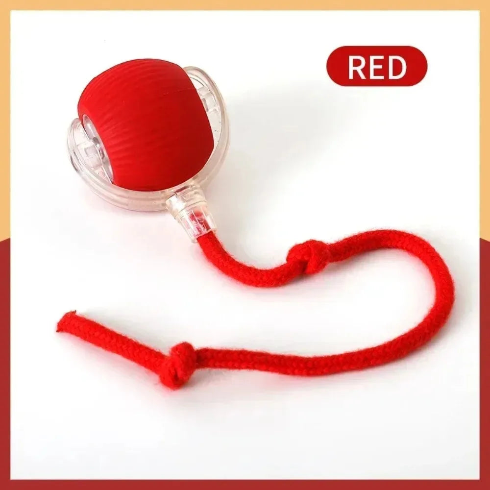 Automatic Cat Ball Toy – Smart Rolling Ball with Faux Tail