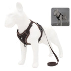 No-Pull Dog & Cat Harness Set – Adjustable Reflective Vest with Leash