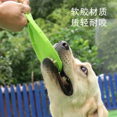 Bite-Resistant Dog Flying Disc – Outdoor Interactive Training Toy