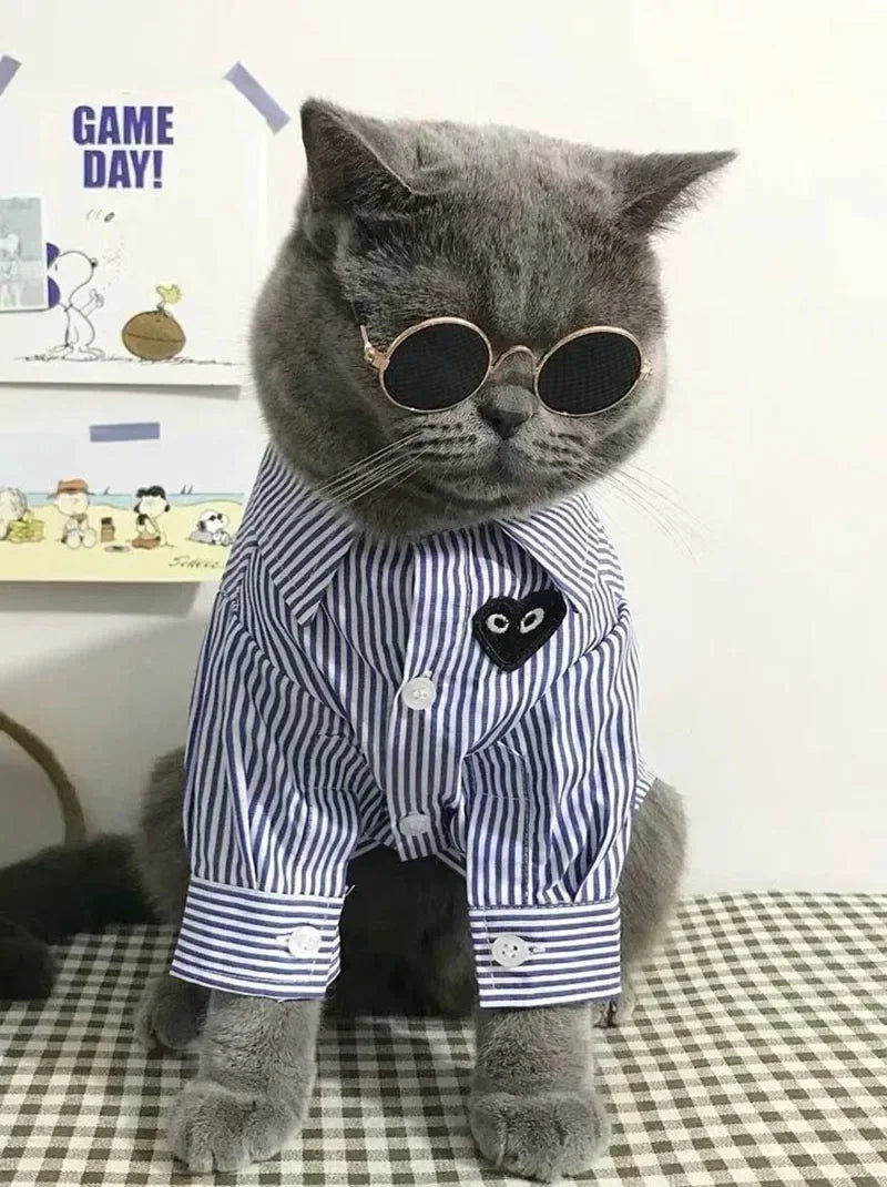 Cute Pet Sunglasses – UV Protection Glasses for Cats & Small Dogs