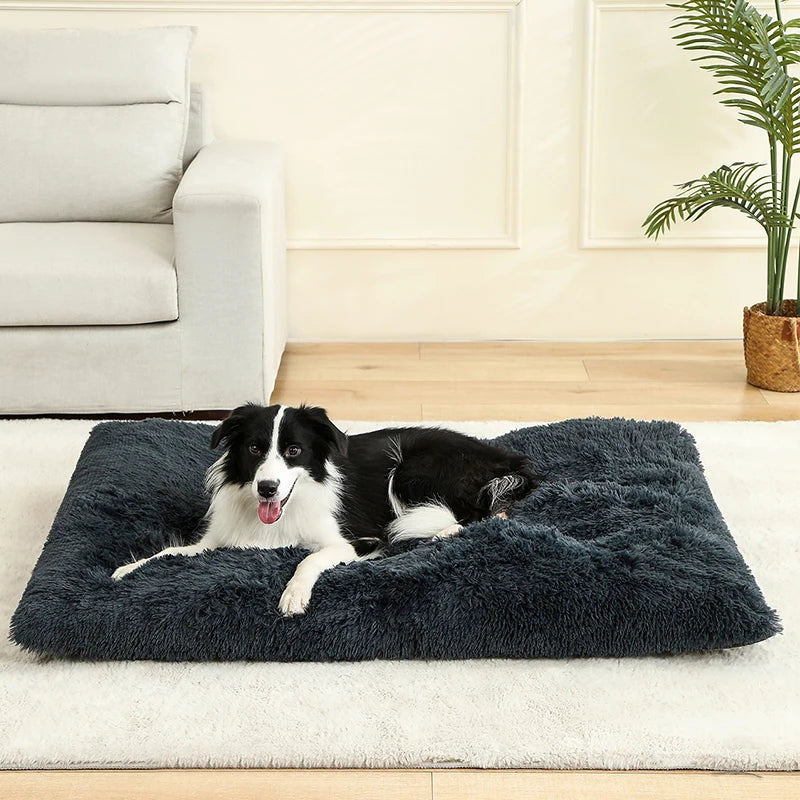 Soft Plush Dog & Cat Bed – Cozy Pet Cushion & Sleeping Sofa