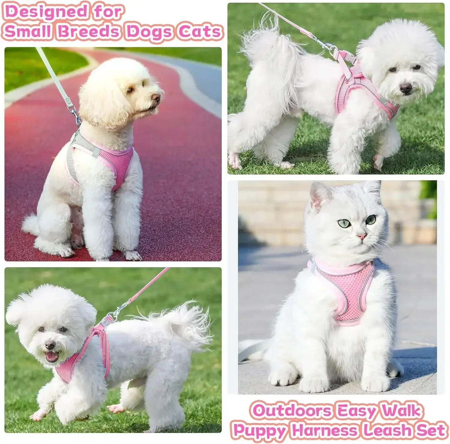 Adjustable Dog & Cat Harness Set – Small Dog Walking Vest with Leash
