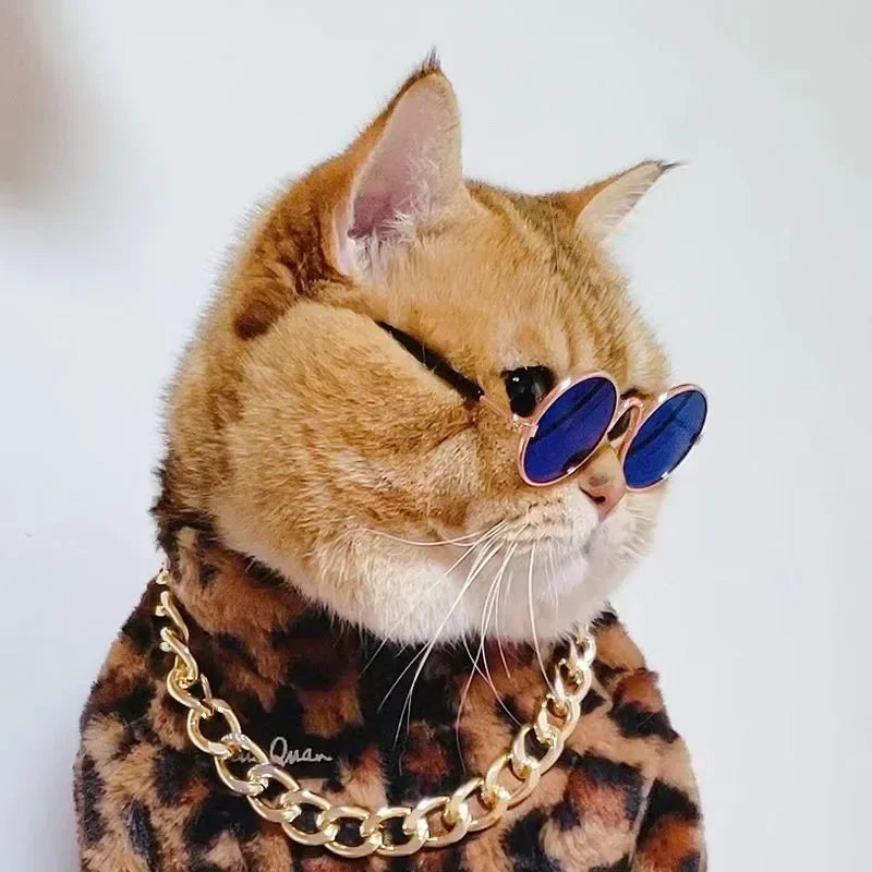 Cute Pet Sunglasses – UV Protection Glasses for Cats & Small Dogs