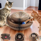 Foldable Cat Scratcher Bed - Curved Cardboard Scratcher & Lounge