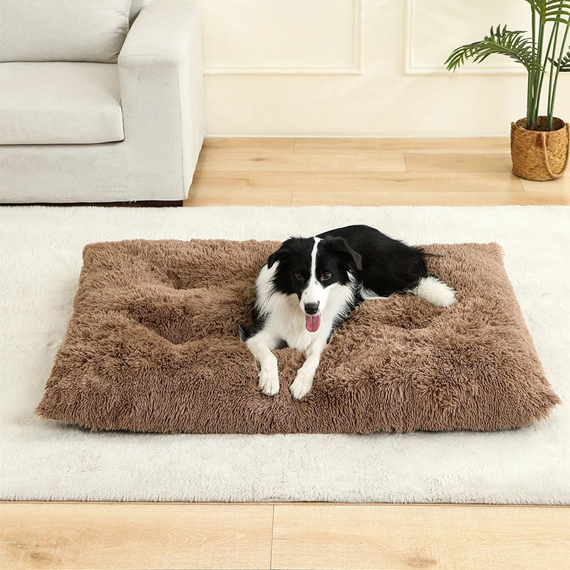 Soft Plush Dog & Cat Bed – Cozy Pet Cushion & Sleeping Sofa