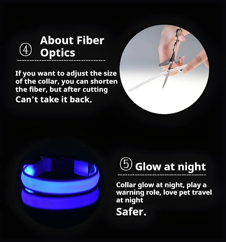 LED Dog Collar – Luminous Nylon Night Safety Collar for Pets