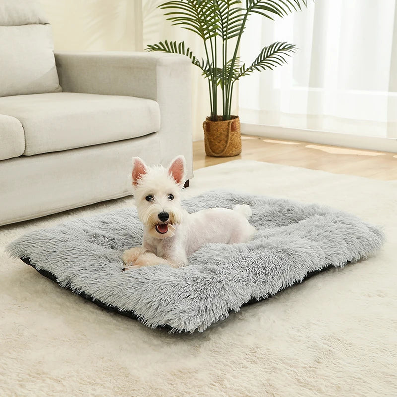 Soft Plush Dog & Cat Bed – Cozy Pet Cushion & Sleeping Sofa