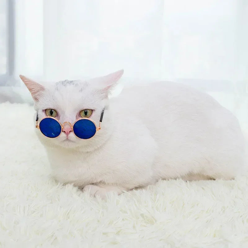 Cute Pet Sunglasses – UV Protection Glasses for Cats & Small Dogs