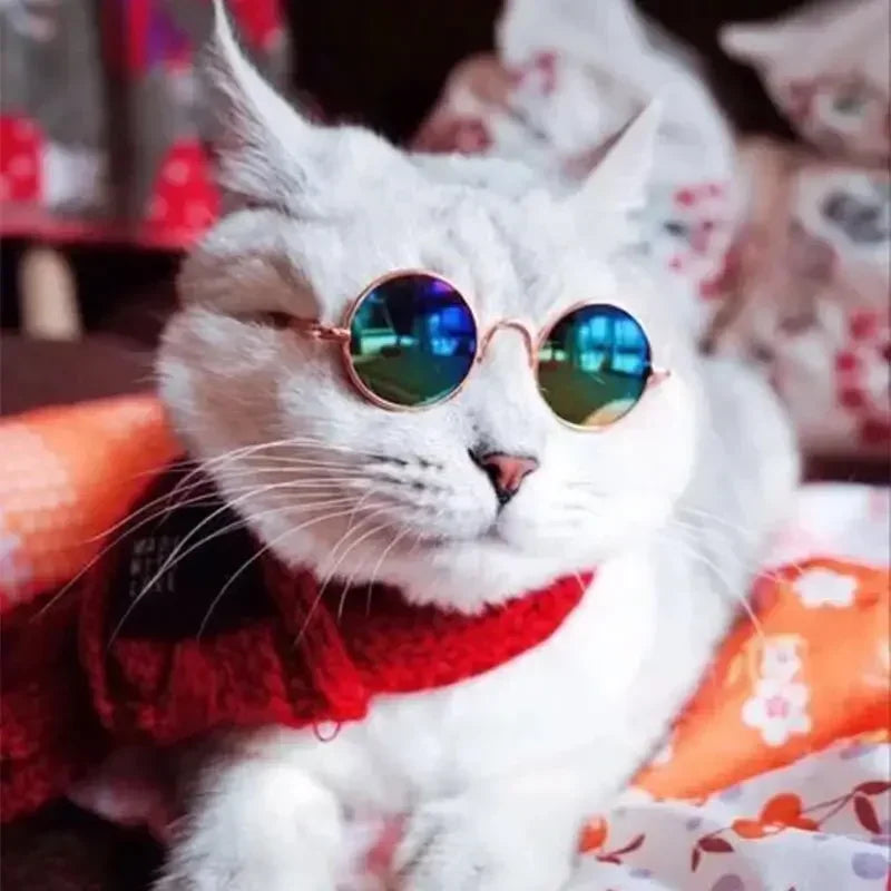Cute Pet Sunglasses – UV Protection Glasses for Cats & Small Dogs