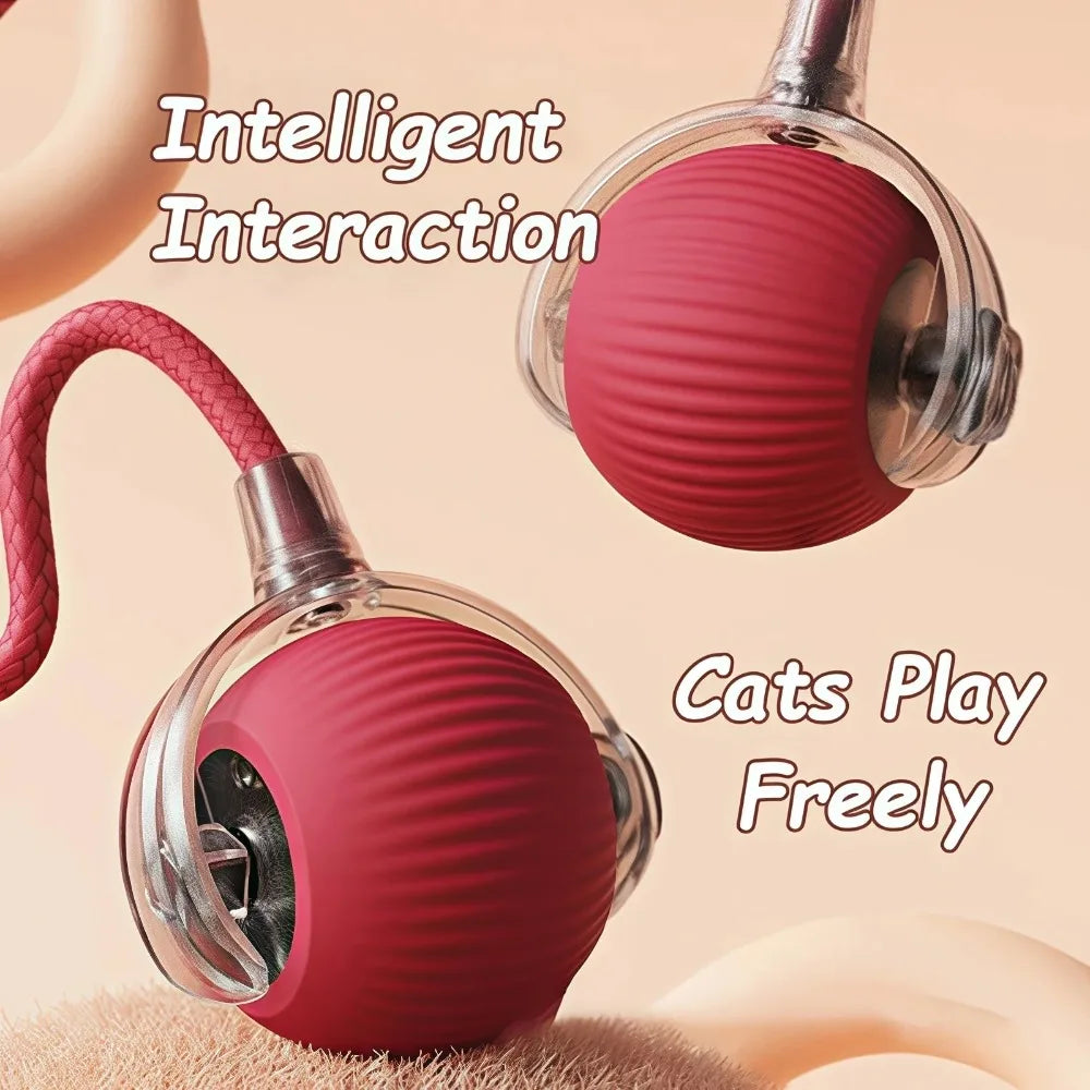 Automatic Cat Ball Toy – Smart Rolling Ball with Faux Tail