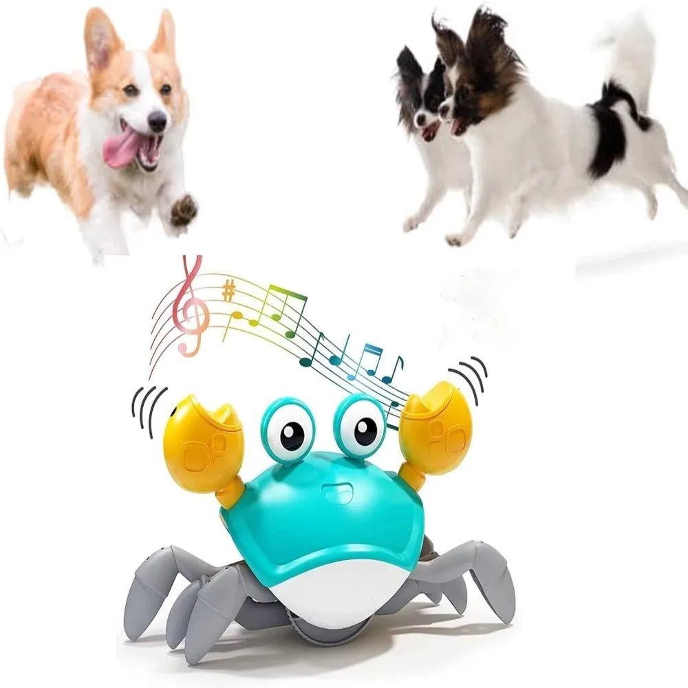 Interactive Dancing Crab Pet Toy – Musical Fun for Dogs & Cats