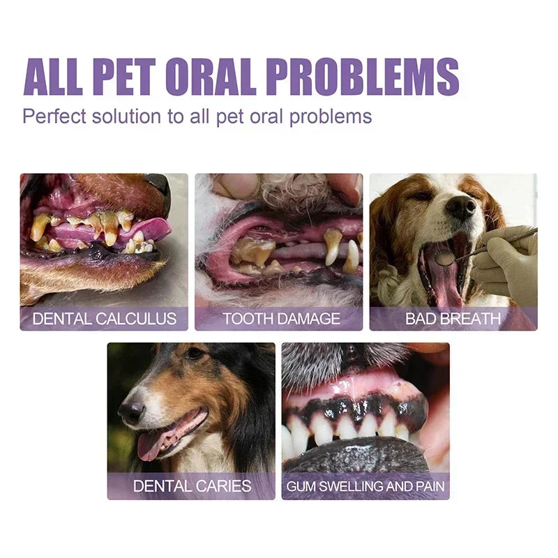 Pet Teeth Cleaning Pen – Dog & Cat Dental Tartar Remover