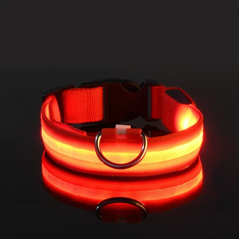 LED Dog Collar – Luminous Nylon Night Safety Collar for Pets