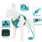 No-Pull Dog & Cat Harness Set – Adjustable Reflective Vest with Leash