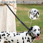 Reflective Bungee Dog Leash – Heavy-Duty No-Pull Leash with Seatbelt