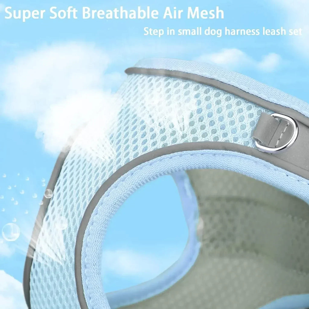 Adjustable Dog & Cat Harness Set – Small Dog Walking Vest with Leash