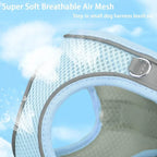 Adjustable Dog & Cat Harness Set – Small Dog Walking Vest with Leash