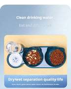 3-in-1 Pet Bowl Set – Tilted Cat & Dog Food Bowl with Water Feeder
