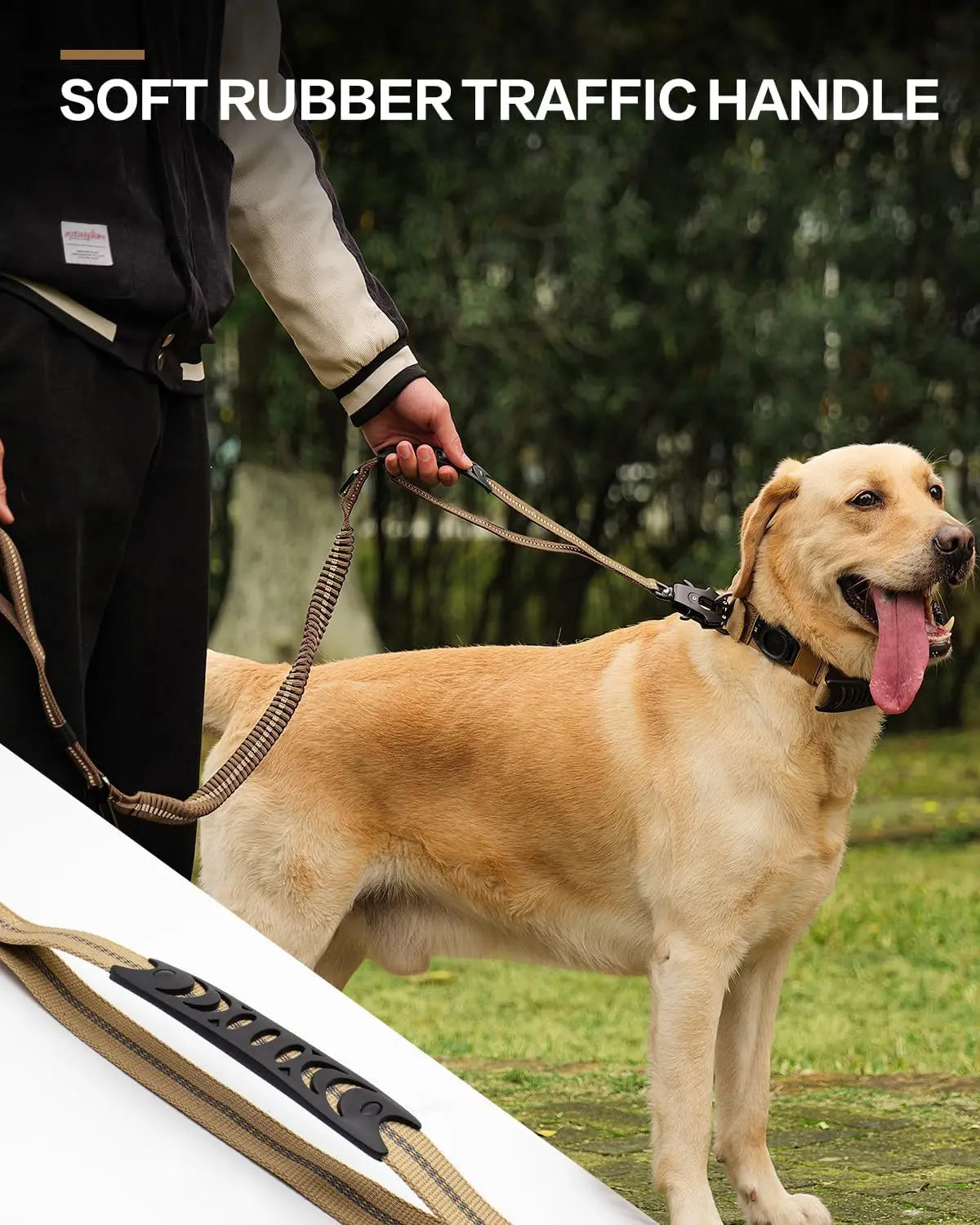 Reflective Bungee Dog Leash – Heavy-Duty No-Pull Leash with Seatbelt