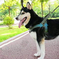 Durable No-Pull Dog Harness – Reflective Pet Harness with Handle