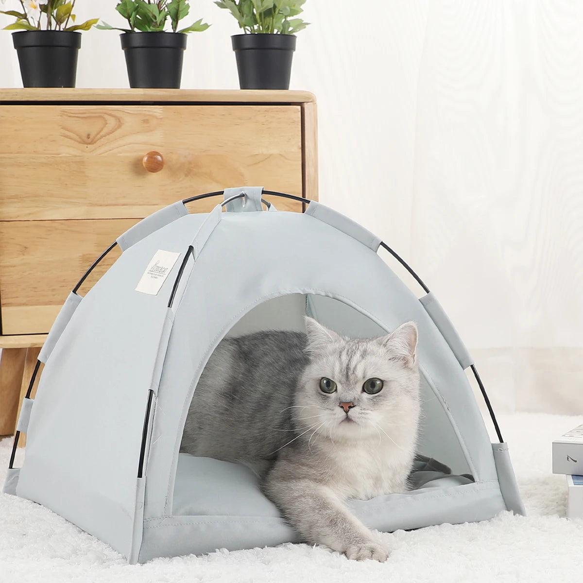 Clamshell Cat Tent Bed - Winter Warm Pet Sofa with Cushion
