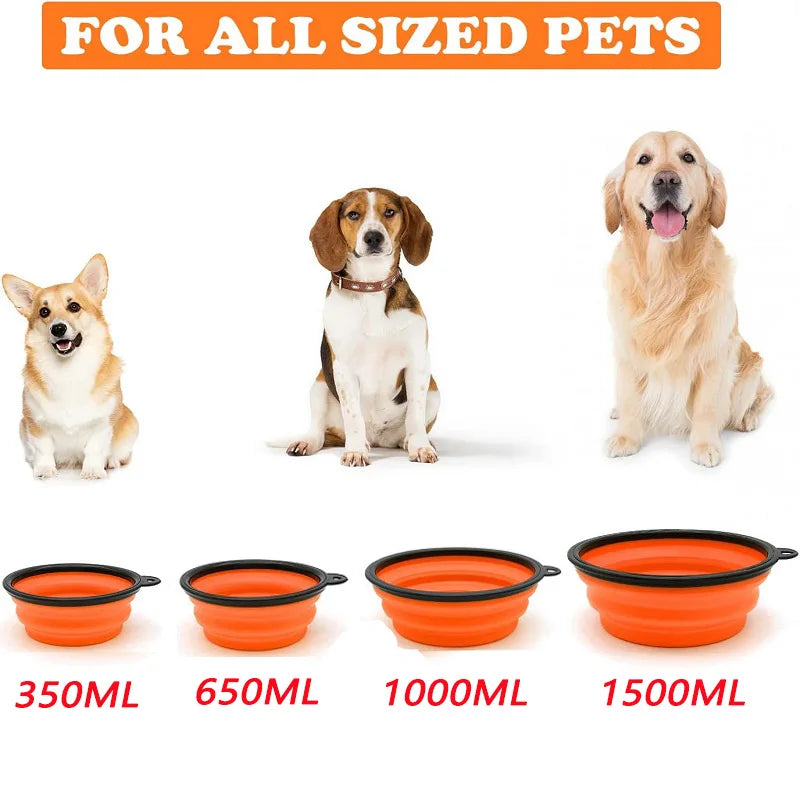 Collapsible Silicone Pet Bowl - 2-in-1 Food & Water Container with Carabiner