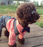 Cute Pet Sunglasses – UV Protection Glasses for Cats & Small Dogs