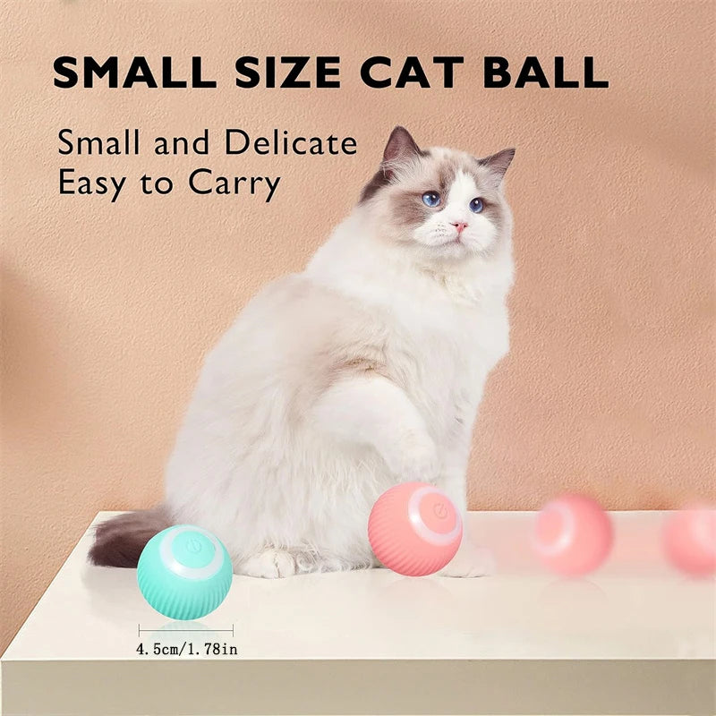 Smart Electronic Dog & Cat Toy Ball – USB Rechargeable Interactive Toy